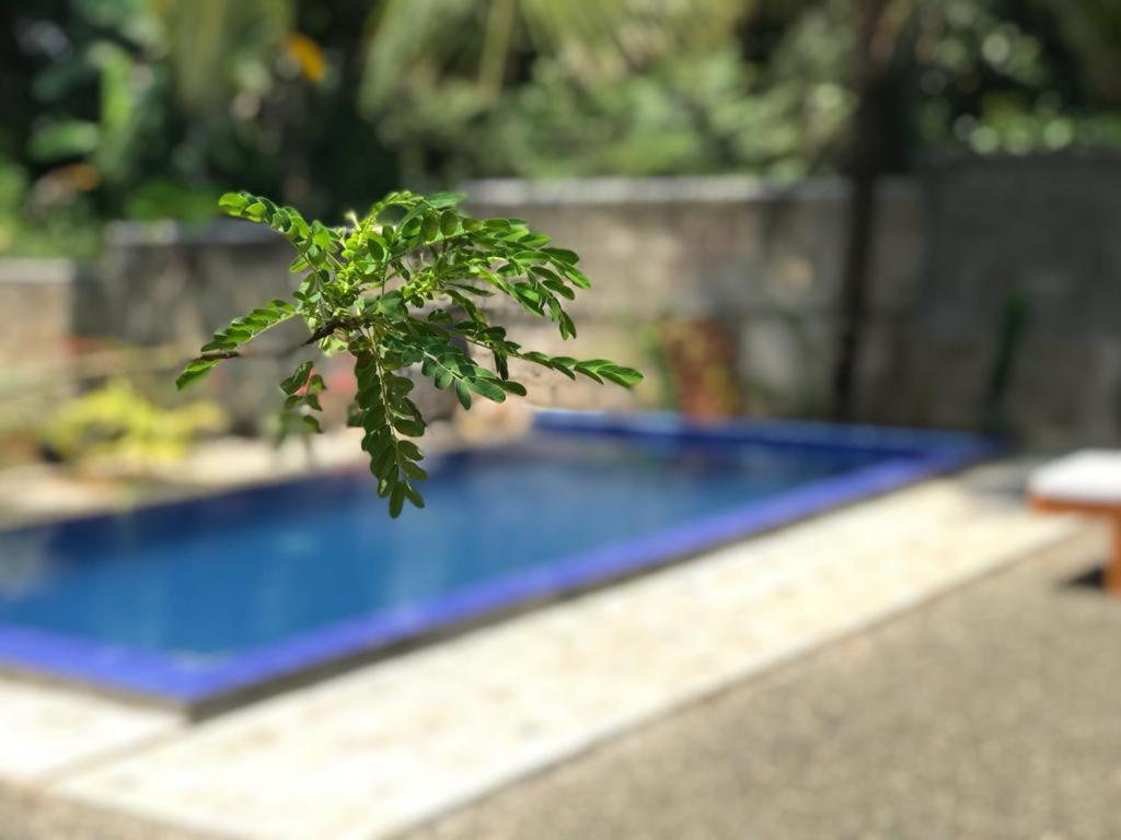 Peaceful Green Villa Unawatuna Exterior photo